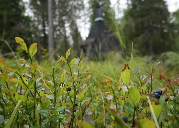 Raekkipirtti